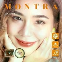 ราคา คอนแทคเลนส์ ขนาดบิ๊กอายBrown / Gray / BlackAlice (Montra) (1730825924212984419)