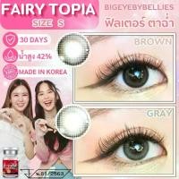 ราคา คอนแทคเลนส์ ขนาดมินิ รุ่น Mini Fairy topia (Lovelylens) (1730374642860329485)