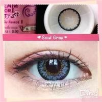 ราคา Soul Gray ฝาม่วง บิ๊กอาย สีเทา ตาโต Dream color1 คอนแทคเลนส์ bigeyes ตัดขอบดำ สายตาสั้น ค่าสายตา (1730827300574759211)