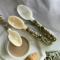 ราคา ช้อนเปลือกหอย ส้อมบด กาแฟ ไอศกรีม เค้ก ส้อมเปลือกหอย คาเวียร์ ช้อนเล็ก อุปกรณ์ครัว ส้อมผลไม้ (1733842815315052097)