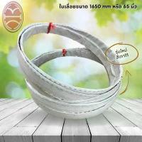 ราคา ใบเลื่อยตัดกระดูกซี่โครง ใบเลื่อยสายพาน ใบเลื่อยตัดเนื้อ รุ่น 1650x16x0.5-0.6 อะไหล่เครื่องเลื่อย ไขควง หัว แม่เหล็ก ที่ ขูด มะพร้าว ใส่ สว่าน เอ็น ตัด หญ้า (1733954687522867070)