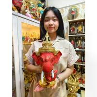 ราคา ❈เศียรครู พระพิฆเนศ เทพแห่งความสำเร็จ ่ขนาดกลาง กว้าง 8 นิ้ว เนื้อเรซิ่น ปิดทอง พร้อมฐานปิดทอง งานสวย เทพฮินดู มี 11 สี❧ (1733677902989395861)
