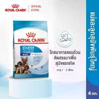 ราคา Royal Canin Maxi Starter Mother&Baby Dog4kg อาหารเม็ดแม่สุนัขและลูกสุนัขหย่านม พันธุ์ใหญ่ อายุ 1-2 เดือน คําแนะนําผลิตภัณฑ์ใหม่ของเดือนนี้ (1734416305913497519)