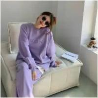 ราคา Purple Sports Casual Suit Women Spring and Autumn New fashion Temperament loose Sweatshirt Trousers Two-piece Set (1734256566331933775)