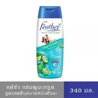 ราคา [จัดส่งทันที] (สินค้าอยู่ระหว่างปรับเปลี่ยนแพ็คเกจ)เคลียร์แอนด์แฟรช แชมพู (แฟซ่า) สูตรสดชื่นสบายหนังศีรษะ 340 มล. Feather Clear & Fresh Shampoo 340 ml. (1734437810385946345)