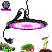 ราคา 100W 150W 200W LED Grow Light ไฟปลูกพืช เต็มสเปกต VEG Bloom โคมไฟ IP65 กันน้ำ โคมไฟสำหรับในร่มพืชระบบ หลอดไฟปลูกต้นไม้ (1732450147352872020)