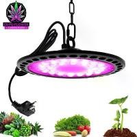 ราคา 100W 150W 200W LED Grow Light ไฟปลูกพืช เต็มสเปกต VEG Bloom โคมไฟ IP65 กันน้ำ โคมไฟสำหรับในร่มพืชระบบ หลอดไฟปลูกต้นไม้ ซีโอดี (1732447094736192615)