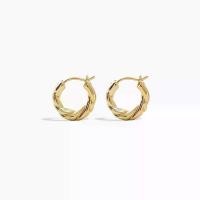 ราคา Special twisted hoop earrings in stock, smooth hoop earrings, light luxury fashion earrings, high-end earrings, stud earrings and ear accessories (1734322401836107052)