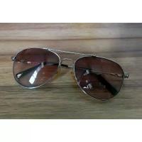 ราคา แว่นกันแดด Charmant Aviator Sunglasses Made in Japan Size 56/18 140mm สีเงิน (1733584261489461133)