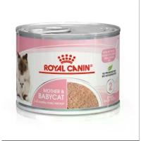 ราคา ROYAL CANIN MOTHER&BABYCAT CAN Mother and Kitten Food Smooth Meat 12 Cans (New Item) (1733612309804451598)