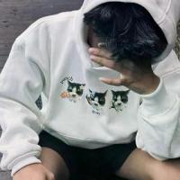 ราคา เสื้อฮู้ด Boxy cat limited edition (1734261312201852668)