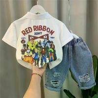 ราคา Short Sleeve Polo Shirt Set for Boys, 2025 New Arrival, Summer Set for Boys, Internet Celebrity Style, Streetwear, Cool and Handsome Clothes for Boys, Boys' Set, Hoodie Set, Pants, Idol Set (173372500