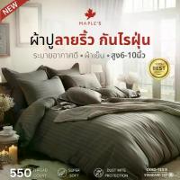 ราคา Thailand MAPLE'S ผ้าปูรัดมุม รุ่นลายริ้ว 550เส้น กันไรฝุ่น 6-10นิ้ว 5ฟุต 6ฟุต ผ้าปูกันฝุ่น striped bedsheet (1733481075861128685)