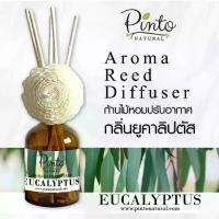 ราคา Shipping from Thailand Pinto Natural Aromatic Reed Diffuser ก้านไม้หอมปรับอากาศ กลิ่นยูคาลิปตัส Eucalyptus ขนาด 50ml. และ 100ml. แนะนำผลิตภัณฑ์ประเภทบ้านที่มีประโยชน์ สินค้าขายดี (1734111347034064576)