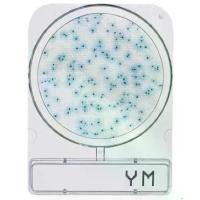 ราคา ชุดตรวจเชื้อรา pact dry yeast and mold (1734271489490650332)