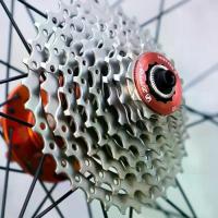 ราคา Happy Sporter ของใหม่ ความเร็ว8ระดับ MTB ROAD BIKE CASSETTE 11-23/25/28/30/32/34/36T เบามาก เฟืองจักรยานเฟือง ประเภทการ์ดเกียร์ปรับความเร็วได้ อุปกรณ์เสริมสำหรับขี่จักรยาน จักรยานล้ออิสระ (17341536631