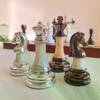ราคา Chess Pieces Wooden Chessboard E-commerce Hot-selling High-end Wooden Chess Pieces Backgammon Pieces (1732962872680285609)