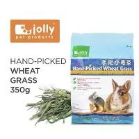 ราคา [จัดส่งทันที] Jolly Hand-Picked Wheat Grass หญ้าวีทกราส ต้นข้าวสาลีอ่อน สำหรับกระต่าย ชินชิล่า และแกสบี้ (350g) (JP219) (1733996010006349588)
