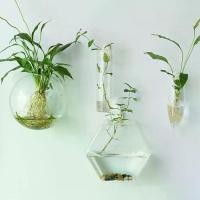 ราคา ตู้ปลา, การออกแบบที่สร้างสรรค์, อเนกประสงค์, หลายสไตล์, รูปร่างผิดปกติ, ติดผนัง, ทำจากแก้ว, เหมาะสำหรับการทำให้บริสุทธิ์พืชในบ้าน, ภาชนะ, แจกันดอกไม้, แจกันไฮโดรโปนิกส์, กระถางดอกไม้ (1732843321834768