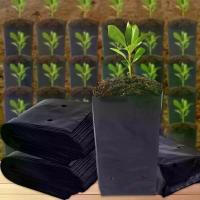 ราคา ถุงปลูกต้นกล้าสีดำ, วัสดุ PE, ถุงนิเวศวิทยาพืชสีดำ, ระบายอากาศได้, เหมาะสำหรับการเพาะปลูกพืชเนอสเซอรี่, หม้อสำหรับสวน, สวนผลไม้, และการปลูกถ่ายต้นไม้, ภาชนะ (1731532418816378542)