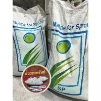 ราคา สินค้าขายดี ถั่วแขกพม่า ถั่วSP เมล็ดถั่วแขกเพาะถั่วงอก งอกไว งอกดี ถั่วงอกอวบขาว ไม่เน่า เหมาะกับมือใหม่ (1733839835812299984)