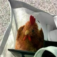 ราคา ตุ๊กตาหมอนนุ่ม ตุ๊กตาไก่เล็ก ตุ๊กตาไก่ ของเล่นเด็ก ตุ๊กตานุ่ม หมอนนอน ของเล่นสัตว์เลี้ยง (1733915280151315648)