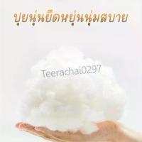 ราคา ที่นอนสัตว์เลี้ยง, บ้านสุนัข, หมอนโดม, ที่นอนแมว (1733803651784345367)