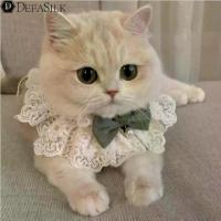 ราคา ชุดแมวฤดูใบไม้ร่วงบาง ชุดแมวแร็กดอลล์ ชุดแมวนม ชุดเจ้าหญิง ชุดแมว ผ้าพันคอคริสต์มาส ปลอกคอ (1733330749485712556)