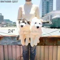 ราคา ตุ๊กตา Lying Grey & White Siberian Husky ไซบีเรียนฮัสกี้ 15/18/24/30นิ้ว ไซบีเรียน ฮัสกี้ Anee Park หมา สุนัข ตุ๊กตาหมา (1734449693544122020)