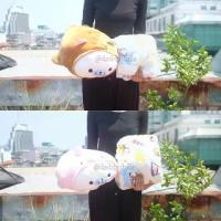 ราคา ตุ๊กตา หมอนผ้าห่ม Mamegoma แมวน้ำ อุ๋ง มาเมะโกมะ 17นิ้ว (100x150cm) (1734385087758697903)