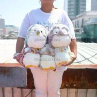 ราคา ตุ๊กตา นกฮูก ขนฟู 7นิ้ว Anee Park อานี ปาร์ค (1734438406857262610)