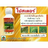 ราคา โปสเตอร์-อะนิโลฟอส ( 500 ซีซี ) อะนิโนฟอส สารกำจัดวัชพืช หญ้าดื้อยา หญ้าดอกขาว ข้าวนก กระดูกไก่ (1734220488056800295)