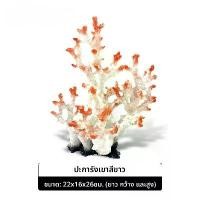 ราคา การตกแต่งตู้ปลา หินปะการังจำลอง ตกแต่งปะการังหิน ของตกแต่งบ้าน หอยทากประดับ ของตกแต่งบ้านเพิ่มออกซิเจนและฟองอากาศ ไม้ สําหรับ ปลา บอลลูน น้ํา สวนถาดตู้ปลา นํ้า ต้นไม้ ใน อ่าง ชุด (1733605356502091179)