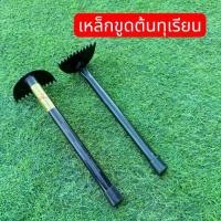 ราคา เหล็กขูดนาคราช ที่ขูดกาฝาก ต้นไม้ ใบเลื่อยขูดเกร็ดนาคราช (CNIG087)06 (1733863246393541710)