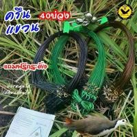 ราคา ครืนแขวนดักนกกวัก นกไก่นา นกเป็ดน้ำ บ่วงหมุนได้ บ่วงไม่ตก ใช้งานง่าย นกติดเร็ว แถมฟรีกระดิ่ง จึ้ง สาย ยาง รด ต้นไม้ 6 หุน หัว น้ําหยด แบบ ใส่ ขวด หัวฉีด นํ้า แรง ดัน (1734328296429225547)