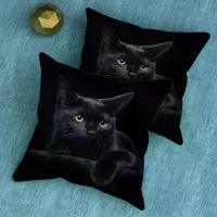 ราคา ปลอกหมอนอิงแมวดำ 2 ชิ้น 18x18 นิ้ว สไตล์กระท่อม ซิปปิด ซักเครื่องได้ เหมาะสำหรับโซฟาและตกแต่งห้องนอน ดีไซน์แมวดำตาสีเหลืองเหมือนจริง ไม่รวมเม็ดมีด ต้น คริสต์มาส ลวด กํา มะ หยี่ (1732703880706229935)