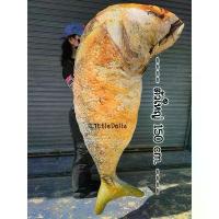 ราคา ตุ๊กตาปลาทูทอด ปลาทูนึ่ง ไซส์ยักษ์150cm. ปลาทูแม่กลอง ของเล่นแมว งาน3Dเหมือนจนแมวงง คําแนะนําการขายที่ร้อนแรงในเดือนนี้ หมี ลีน่าเเบร์ (1732861231353857791)