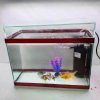 ราคา ตู้ปลา ตู้ปลา มีฝาปิด 14 นิ้ว มีกรองน้ำ และต้นประการังตกแต่ง ตกแต่งบ้าน ตู้ปลากลาส สวยงาม ปลา ตู้ (1734409405146170629)