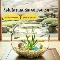 ราคา พืช ตู้ปลา จิ๋ว ตั้งโต๊ะ ตู้ปลา โหล ใส่ ปลากัด พลาสติก อ่าง เลี้ยง ปลา อ่าง ลังพลาสติก เลี้ยง ปลา ตู้ปลา กระจก ตู้ ปลาหางนกยูง อ่าง ปลา พลาสติก โหล ตู้ปลา พร้อม (1732959374330266810)