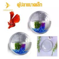 ราคา coralcoveshop ตู้ปลาขนาดเล็ก ตู้ปลากัด ตู้ปลาmini แบบติดผนัง ทรงกลม 15 ซม. สำหรับเลี้ยงปลากัด (1734362763781244710)
