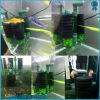 ราคา ทนทาน หัวคู่ ตัวกรองตู้ปลา ฟองน้ำชีวเคมี พลาสติก ฟองน้ำกรอง สีเขียว ฟองน้ำกรองชีวเคมี ตู้ปลา (1734438061149685036)