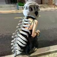 ราคา จีน สวนไดโนเสาร์ โครงกระดูกไดโนเสาร์ โครงกระดูกแปลกตา หมวกหัว ชุดแฟนซีนุ่ม (1733737654021686806)