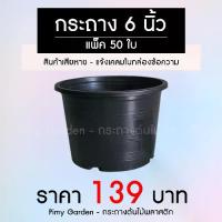 ราคา PI MY GARDEN กระถางต้นไม้ แบบกลม 6 นิ้ว สีดำ แพ็ค 50 ใบ และ 100 ใบ ราคา 139 บาท และ 250 บาท (1729619160595991206)