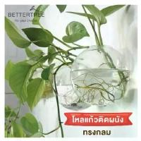 ราคา [Tiktok ขายร้อน] โหลแก้วติดผนังทรงกลม ขนาดเล็ก แจกันติดผนัง แจกัน (1733721095323485499)
