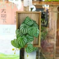 ราคา กรอบรูปงานฝีมือไม้มินิมอล แจกัน ชาวไร่ สีเขียวเทียม ของตกแต่งบ้านแบบชนบท (1734360540304016441)