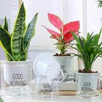 ราคา กระถางต้นไม้รดน้ำอัตโนมัติขนาดเล็ก ตู้ปลา กระถางต้นไม้พลาสติกใส รดน้ำอัตโนมัติ กระถางปลูกต้นไม้ แจกัน สำหรับตกแต่งบ้าน (1733991586236106617)