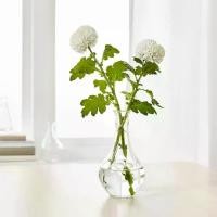 ราคา แจกัน ikea อิเกีย แก้วใส, 17 ซม. VILJESTARK วีเลียตสตาร์ค (1732888530306106890)