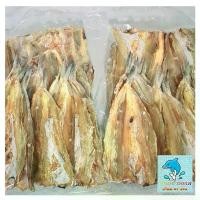 ราคา จัดส่งเฉพาะจุด มีบริการเก็บปลายทาง ปลาแห้งปลาจิ๊กโก๋ปลาช่อนทะเลSizeบางใหญ่(28-30ตัว/1กิโลกรัม)ไม่เค็ม ขนม เยลลี่ (1734242501097915632)