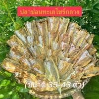 ราคา ปลาช่อนทะเลไซร์กลางเค็มน้อย (35-43 ตัวต่อ 1กิโลกรัม) (1729597893096409585)