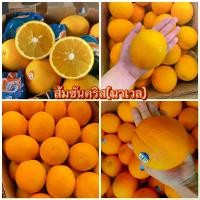 ราคา [COD] ส้มซันคริส(นาเวล) 1kgหวานอมเปรี้ยวฉ่ำๆ นำเข้าจาก South Africa (1731910110289626186)